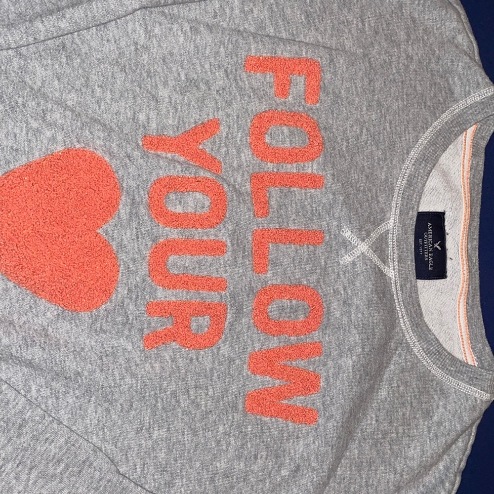American Eagle Outfitters sweatshirt, light gray, size L